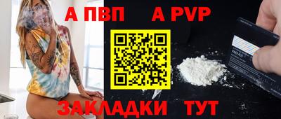 стаф Новокубанск