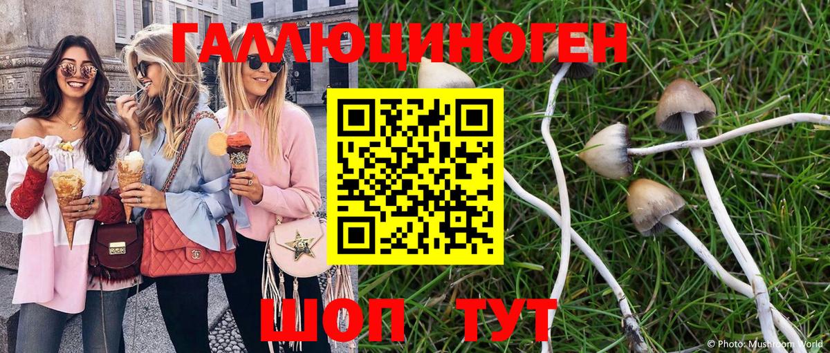 Галлюциногенные грибы Psilocybe  купить наркоту  Родники  Галлюциногенные грибы Cubensis  Вход с VPN 