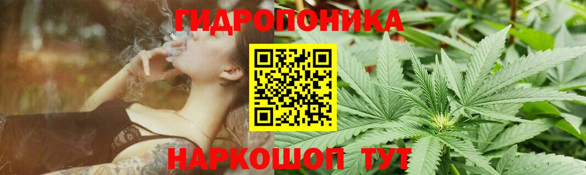 Конопля AK-47 Родники